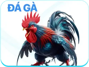 da ga 8xbet