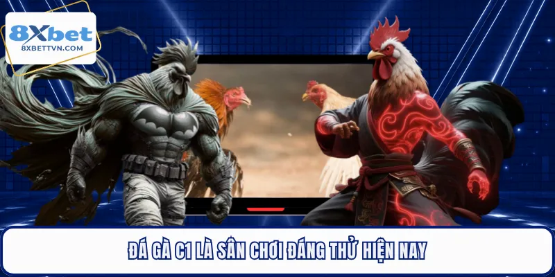 Đá gà C1 là sân chơi đáng thử hiện nay