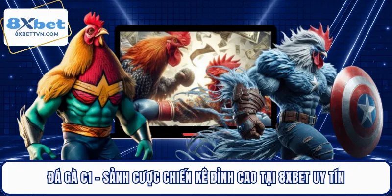Đá Gà C1 - Sảnh Cược Chiến Kê Đỉnh Cao Tại 8xbet Uy Tín