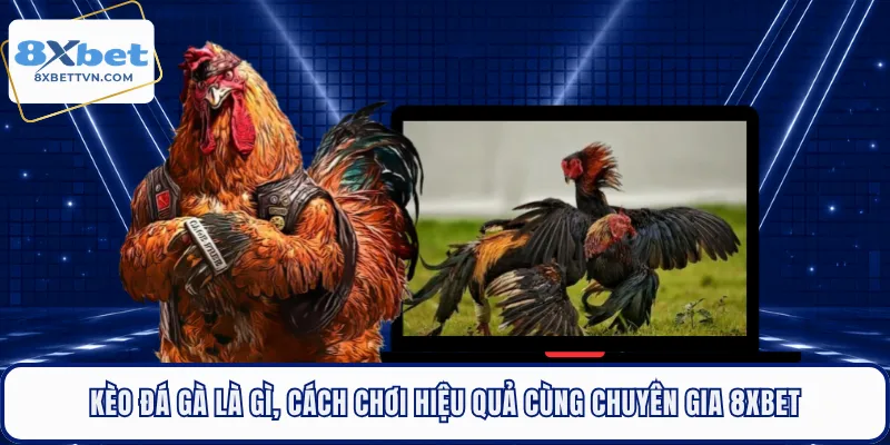 Kèo Đá Gà Là Gì, Cách Chơi Hiệu Quả Cùng Chuyên Gia 8XBET