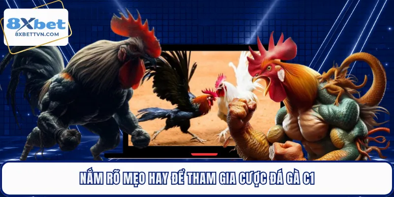 Nắm rõ mẹo hay để tham gia cược đá gà C1
