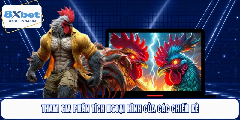 Tham gia phân tích ngoại hình của các chiến kê
