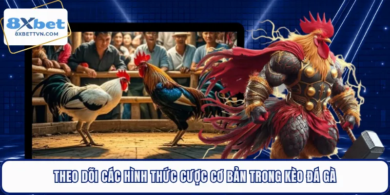 Theo dõi các hình thức cược cơ bản trong kèo đá gà
