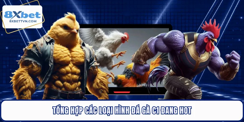 Tổng hợp các loại hình đá gà C1 đang hot